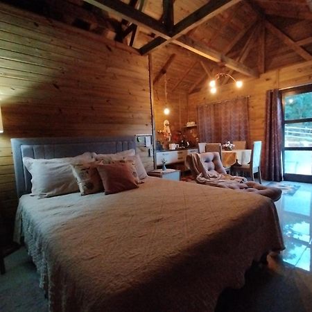 Tiny House Canjerana - Cabana Com Vista Dos Canyons Praia Grande  Zewnętrze zdjęcie